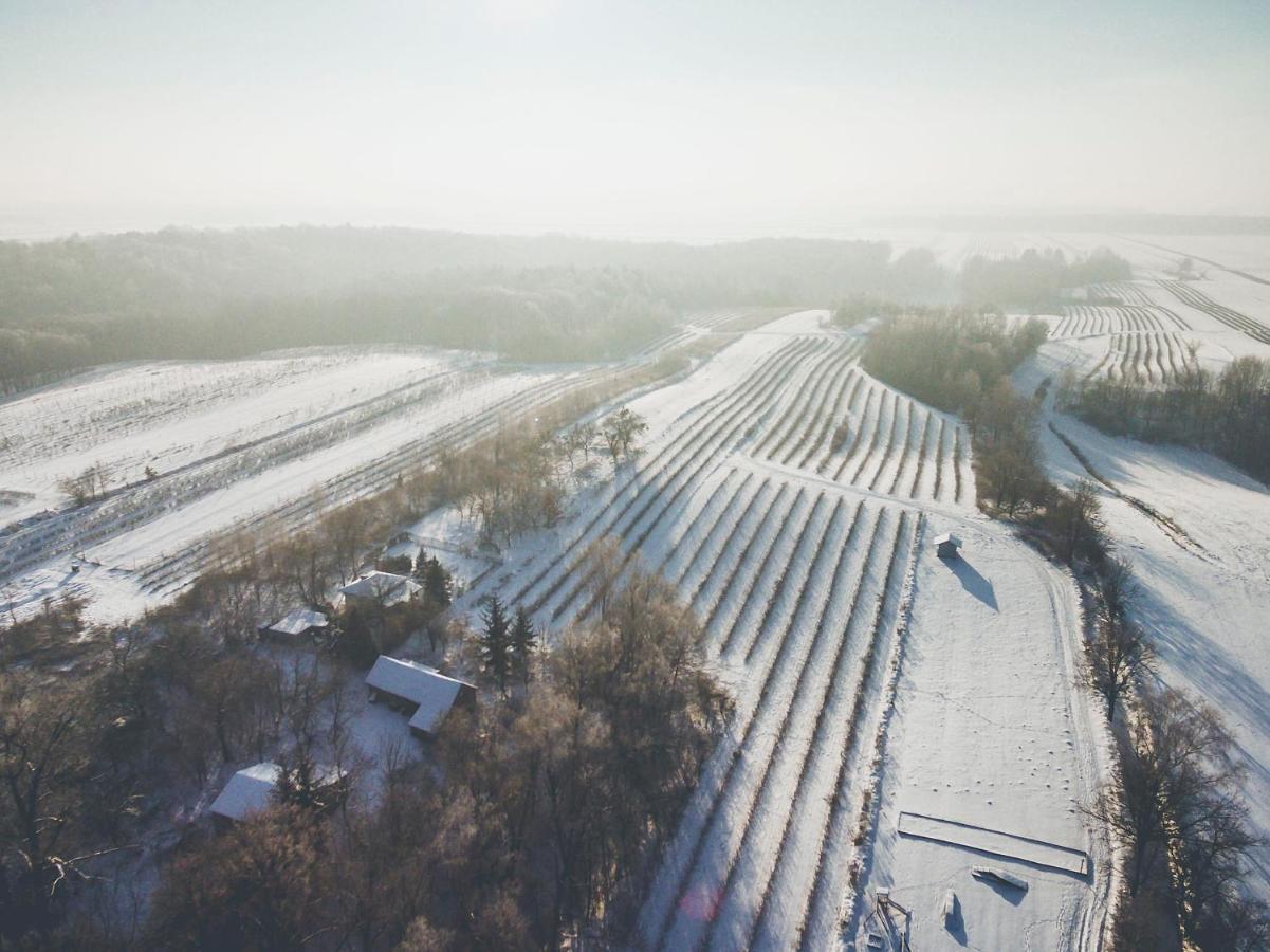 Chata Nad Wawozem Nałęczów Esterno foto